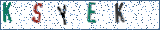 Type the letters shown in the picture