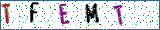 Type the letters shown in the picture